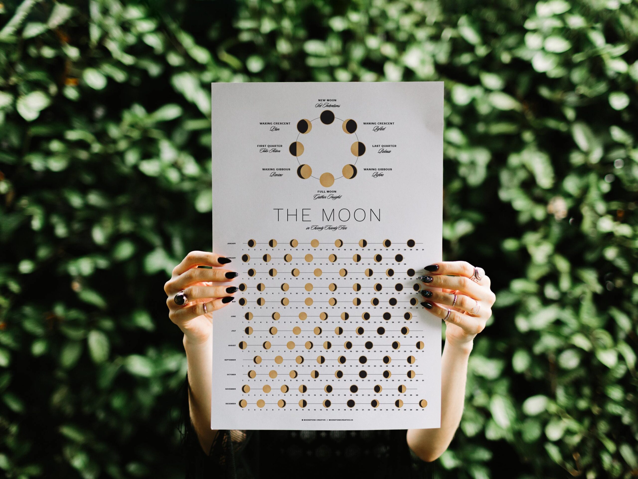 Hands holding a minimalist moon phase calendar with gold and black lunar illustrations against a leafy green background.